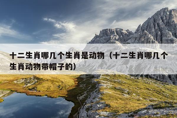 十二生肖哪几个生肖是动物（十二生肖哪几个生肖动物带帽子的）