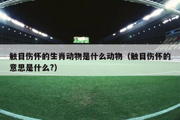 触目伤怀的生肖动物是什么动物（触目伤怀的意思是什么?）