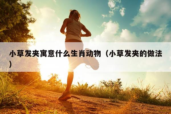 小草发夹寓意什么生肖动物（小草发夹的做法）