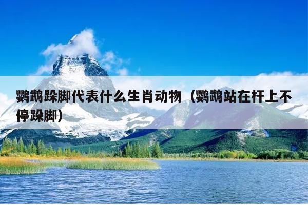 鹦鹉跺脚代表什么生肖动物（鹦鹉站在杆上不停跺脚）