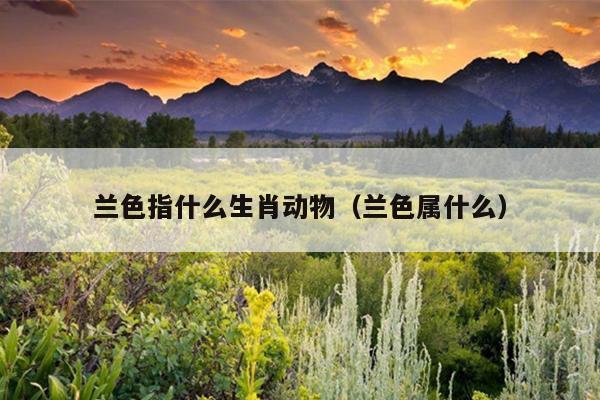 兰色指什么生肖动物（兰色属什么）