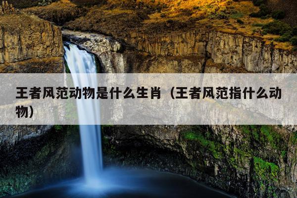 王者风范动物是什么生肖（王者风范指什么动物）