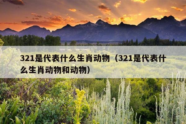 321是代表什么生肖动物（321是代表什么生肖动物和动物）