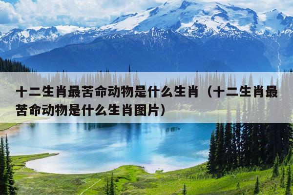 十二生肖最苦命动物是什么生肖（十二生肖最苦命动物是什么生肖图片）