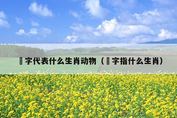 秖字代表什么生肖动物（媠字指什么生肖）