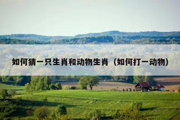 如何猜一只生肖和动物生肖（如何打一动物）