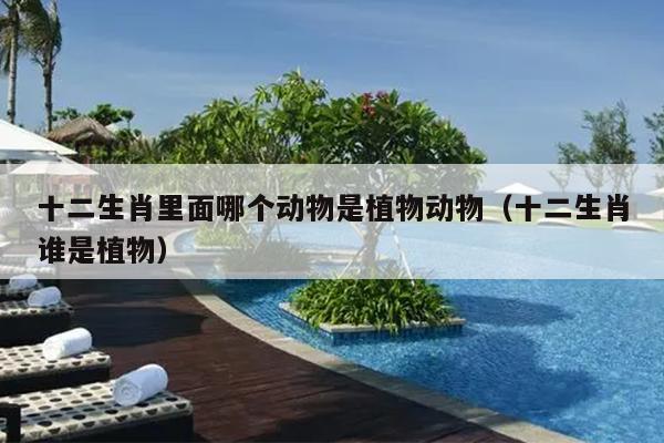 十二生肖里面哪个动物是植物动物（十二生肖谁是植物）