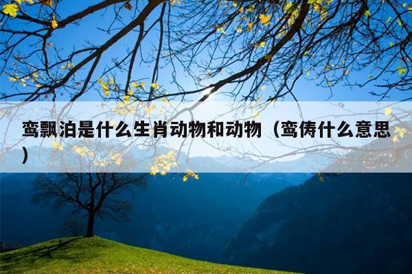 鸾飘泊是什么生肖动物和动物（鸾俦什么意思）