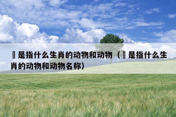 鶒是指什么生肖的动物和动物（鶒是指什么生肖的动物和动物名称）