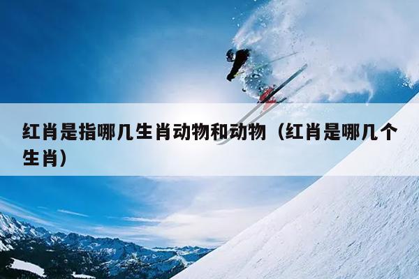 红肖是指哪几生肖动物和动物（红肖是哪几个生肖）
