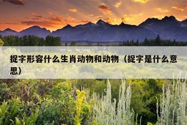 捉字形容什么生肖动物和动物（捉字是什么意思）