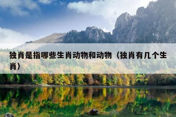 独肖是指哪些生肖动物和动物（独肖有几个生肖）