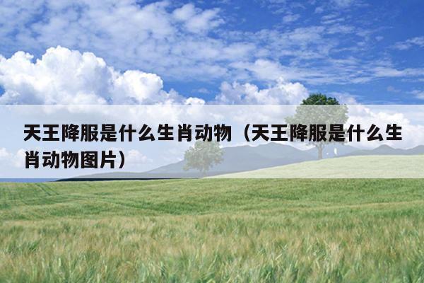 天王降服是什么生肖动物（天王降服是什么生肖动物图片）