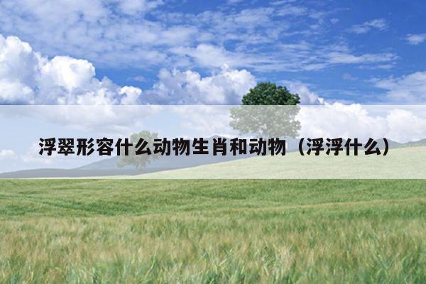 浮翠形容什么动物生肖和动物（浮浮什么）
