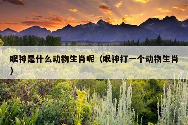 眼神是什么动物生肖呢（眼神打一个动物生肖）