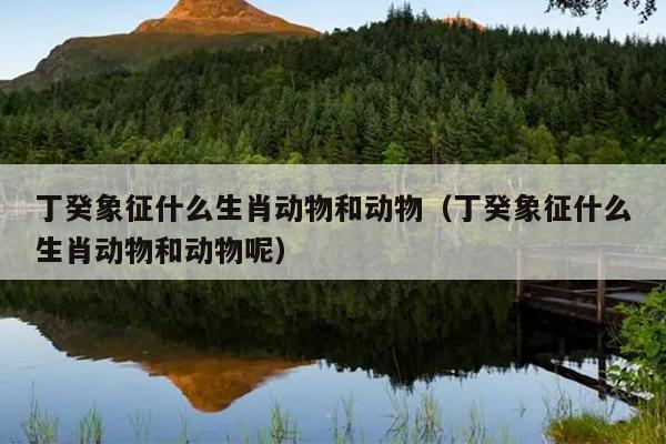 丁癸象征什么生肖动物和动物（丁癸象征什么生肖动物和动物呢）