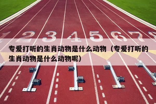 专爱打听的生肖动物是什么动物（专爱打听的生肖动物是什么动物呢）