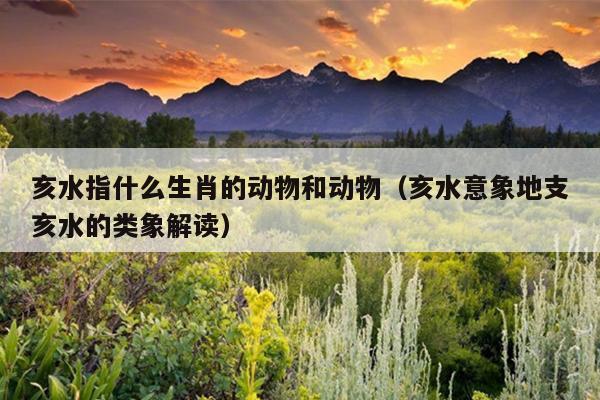 亥水指什么生肖的动物和动物（亥水意象地支亥水的类象解读）