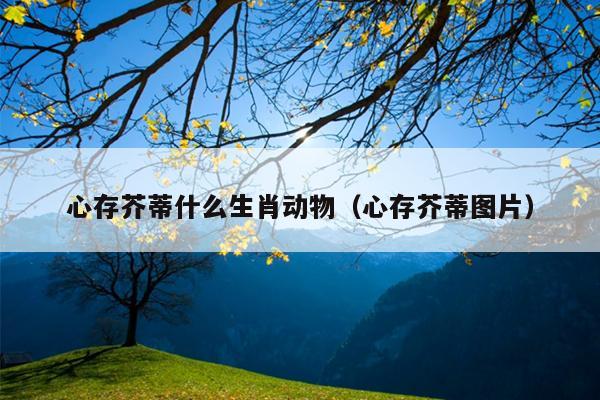 心存芥蒂什么生肖动物（心存芥蒂图片）