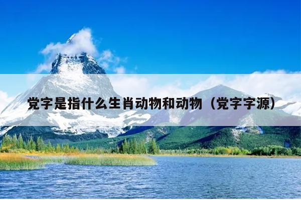党字是指什么生肖动物和动物（党字字源）