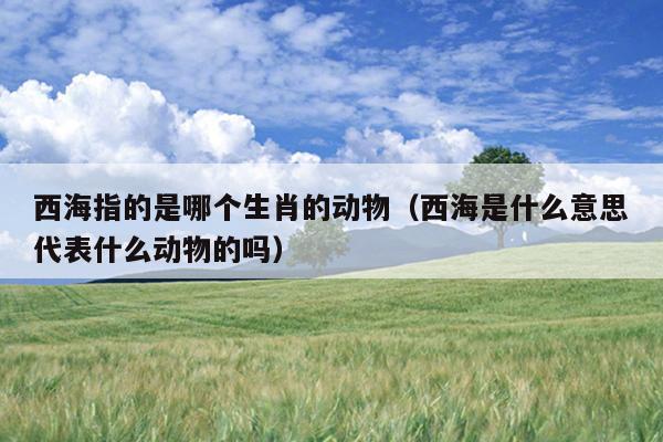 西海指的是哪个生肖的动物（西海是什么意思代表什么动物的吗）