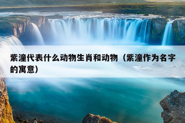 紫潼代表什么动物生肖和动物（紫潼作为名字的寓意）