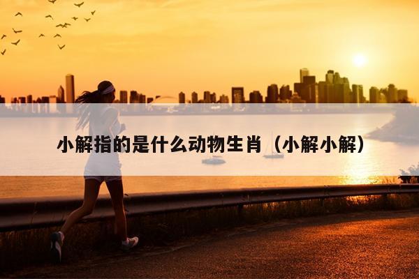 小解指的是什么动物生肖（小解小解）