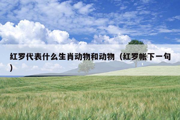 红罗代表什么生肖动物和动物（红罗帐下一句）