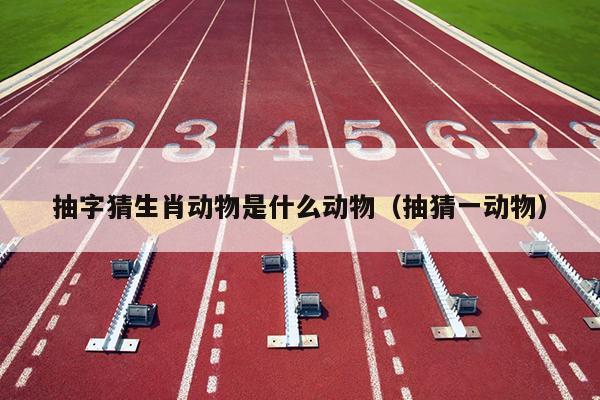 抽字猜生肖动物是什么动物（抽猜一动物）