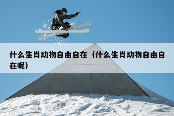 什么生肖动物自由自在（什么生肖动物自由自在呢）