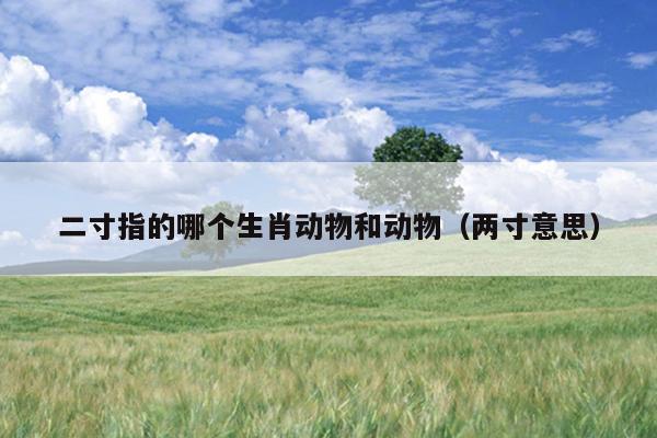 二寸指的哪个生肖动物和动物（两寸意思）