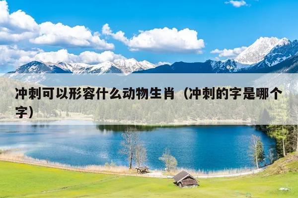 冲刺可以形容什么动物生肖（冲刺的字是哪个字）