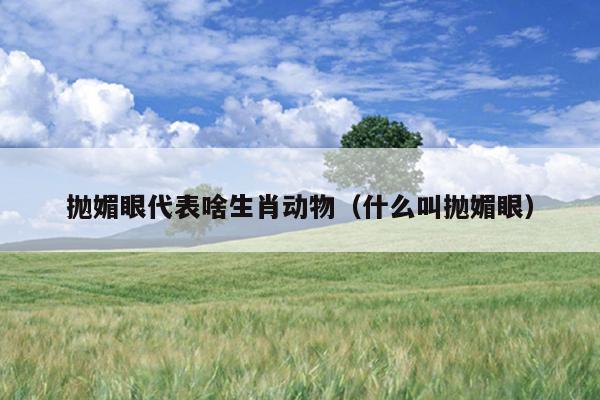 抛媚眼代表啥生肖动物（什么叫抛媚眼）