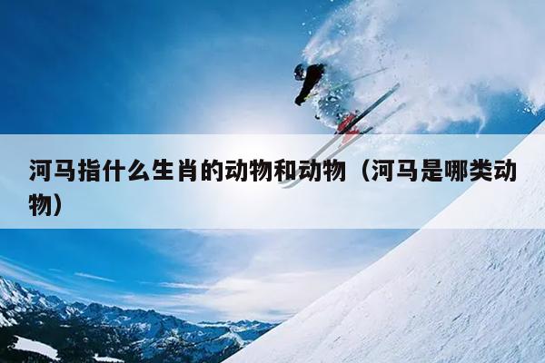河马指什么生肖的动物和动物（河马是哪类动物）