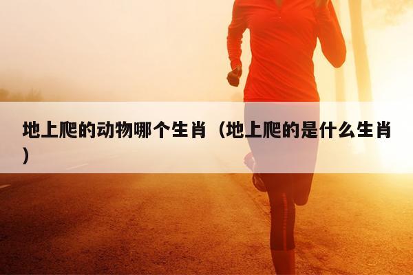 地上爬的动物哪个生肖（地上爬的是什么生肖）