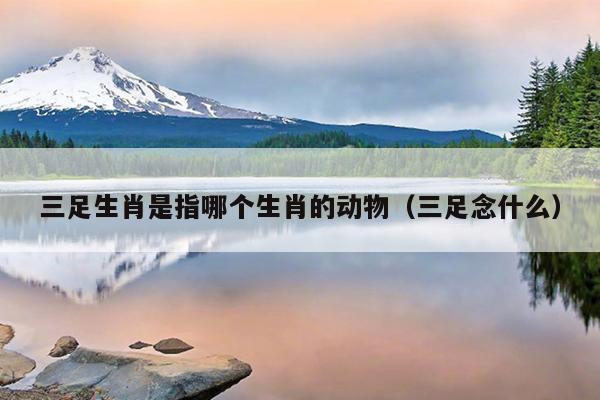 三足生肖是指哪个生肖的动物（三足念什么）
