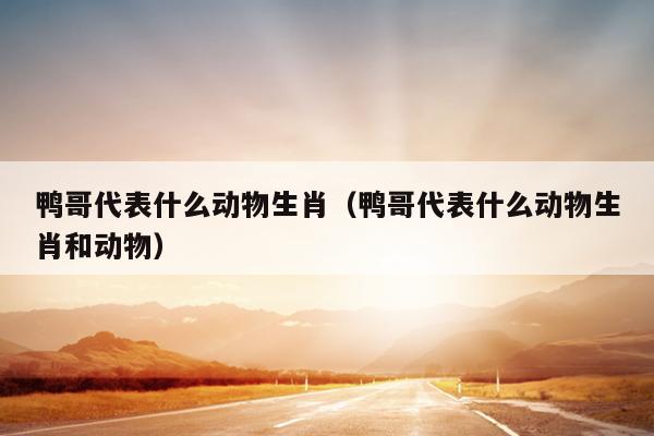 鸭哥代表什么动物生肖（鸭哥代表什么动物生肖和动物）