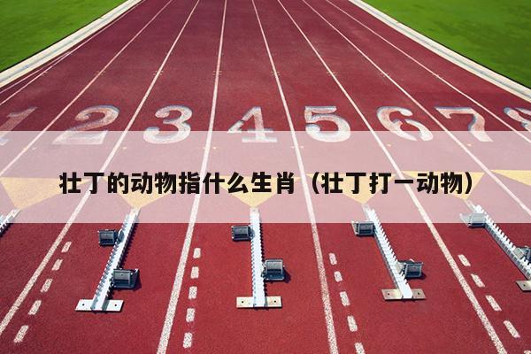 壮丁的动物指什么生肖（壮丁打一动物）