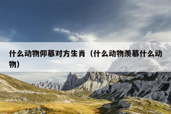 什么动物仰慕对方生肖（什么动物羡慕什么动物）