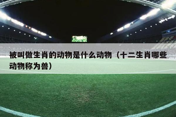 被叫做生肖的动物是什么动物（十二生肖哪些动物称为兽）
