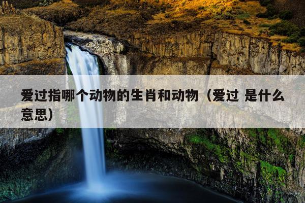 爱过指哪个动物的生肖和动物（爱过 是什么意思）