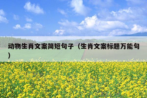 动物生肖文案简短句子（生肖文案标题万能句）
