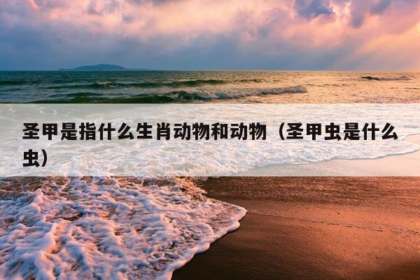 圣甲是指什么生肖动物和动物（圣甲虫是什么虫）