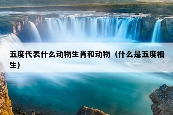 五度代表什么动物生肖和动物（什么是五度相生）
