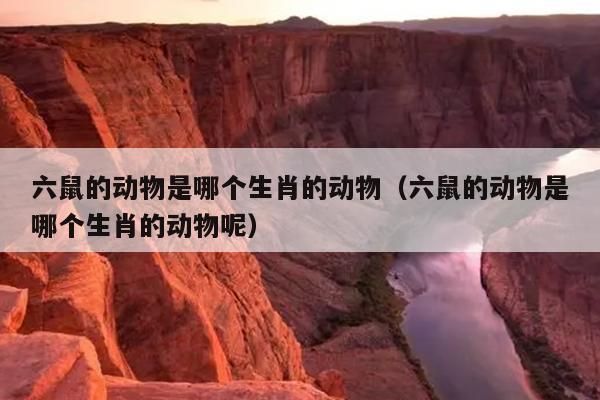 六鼠的动物是哪个生肖的动物（六鼠的动物是哪个生肖的动物呢）