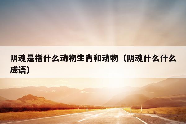 阴魂是指什么动物生肖和动物（阴魂什么什么成语）