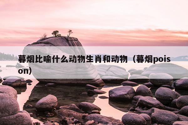 暮烟比喻什么动物生肖和动物（暮烟poison）