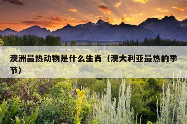 澳洲最热动物是什么生肖（澳大利亚最热的季节）
