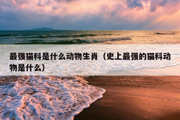 最强猫科是什么动物生肖（史上最强的猫科动物是什么）