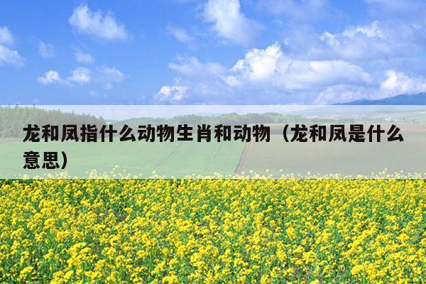 龙和凤指什么动物生肖和动物（龙和凤是什么意思）
